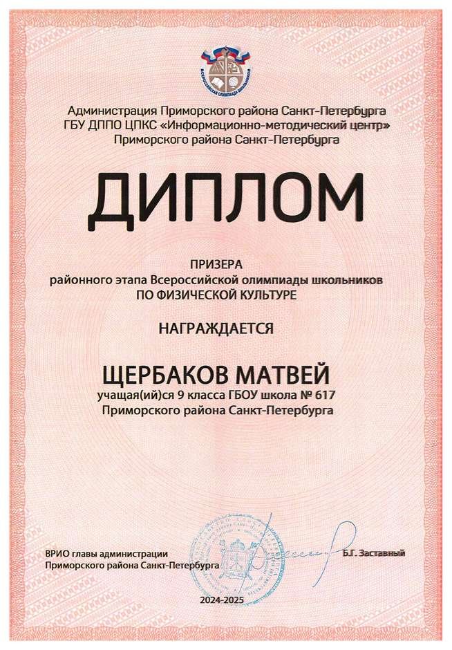 2024-2025 Щербаков Матвей 9а физическая культура (Тронь Т.И.)